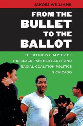 Cover image for From the Bullet to the Ballot
