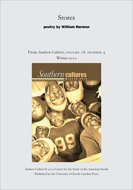 Cover image for Stores