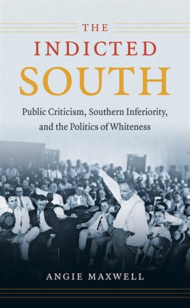 Cover image for The Indicted South