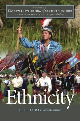 Cover image for The New Encyclopedia of Southern Culture, Volume 6