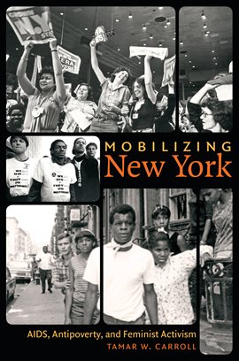 Cover image for Mobilizing New York