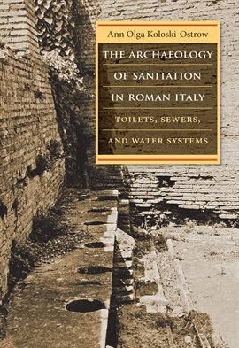 Cover image for The Archaeology of Sanitation in Roman Italy