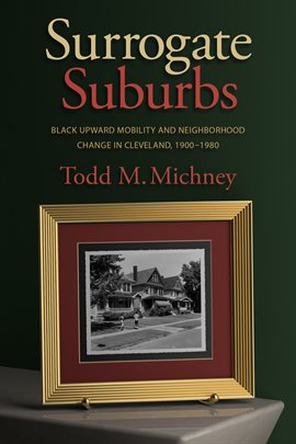 Cover image for Surrogate Suburbs