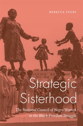 Cover image for Strategic Sisterhood