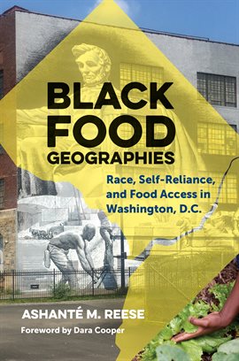 Cover image for Black Food Geographies