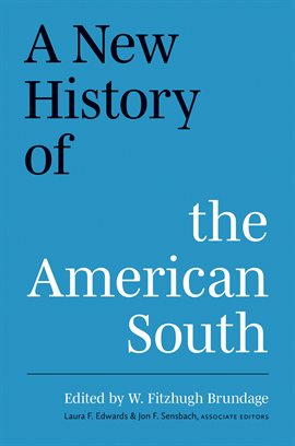 Cover image for A New History of the American South