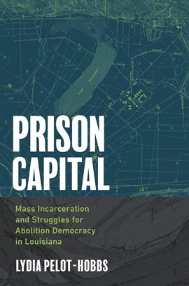 Cover image for Prison Capital