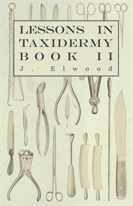 Cover image for Lessons In Taxidermy