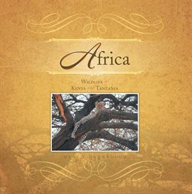 Cover image for Africa