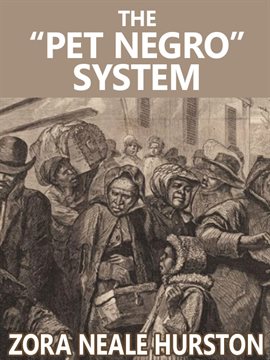 Cover image for The "Pet Negro" system