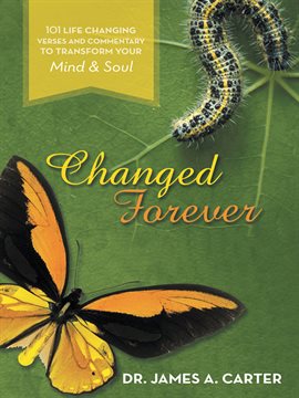 Imagen de portada para Changed Forever
