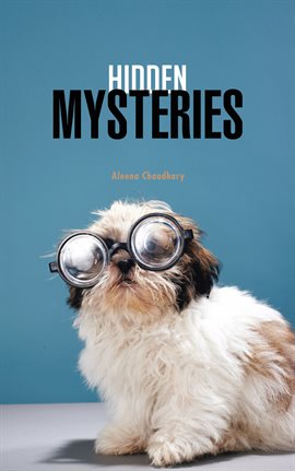 Cover image for Hidden Mysteries