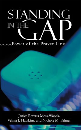 Cover image for Standing in the Gap