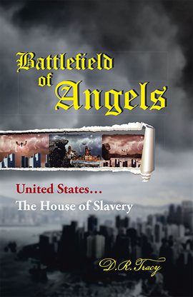 Cover image for Battlefield of Angels