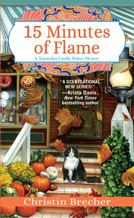Imagen de portada para 15 Minutes of Flame