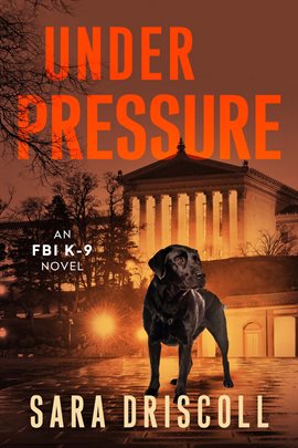 Cover image for Under Pressure