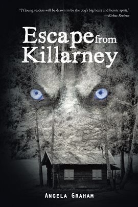 Imagen de portada para Escape from Killarney