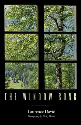 Imagen de portada para The Window Song