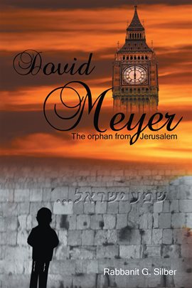 Cover image for Dovid Meyer