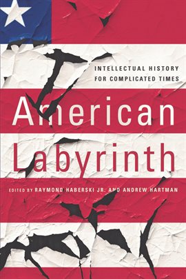 Cover image for American Labyrinth