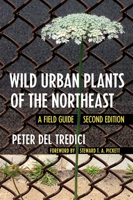 Cover image for Wild Urban Plants of the Northeast
