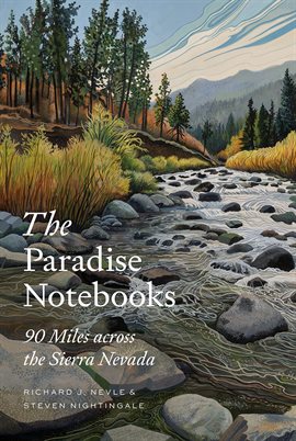 Cover image for The Paradise Notebooks