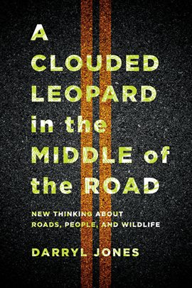 Imagen de portada para A Clouded Leopard in the Middle of the Road
