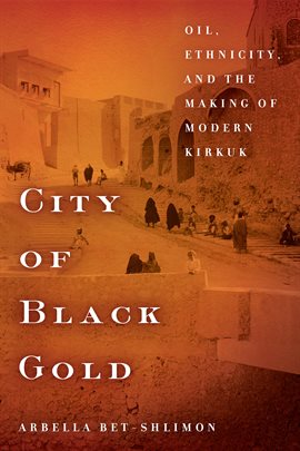 Cover image for City of Black Gold