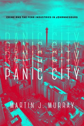 Cover image for Panic City