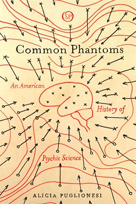 Cover image for Common Phantoms