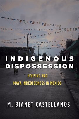 Cover image for Indigenous Dispossession