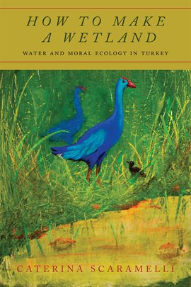 Imagen de portada para How to Make a Wetland