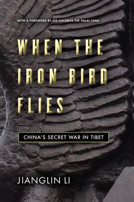 Cover image for When the Iron Bird Flies