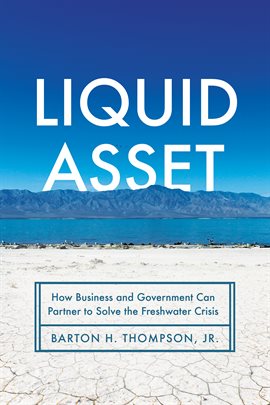 Cover image for Liquid Asset