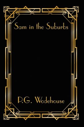 Cover image for Sam in the Suburbs