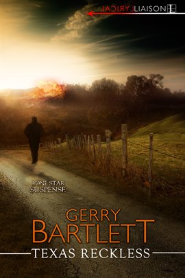 Cover image for Texas Reckless