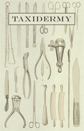 Cover image for Taxidermy