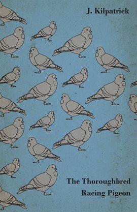 Cover image for The Thoroughbred Racing Pigeon