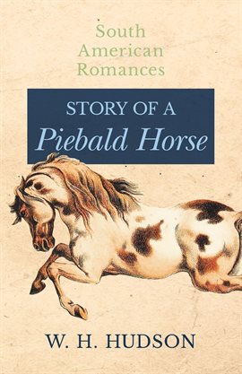 Cover image for Story of a Piebald Horse