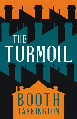 Cover image for The Turmoil