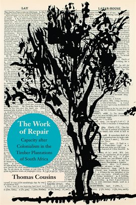 Cover image for The Work of Repair