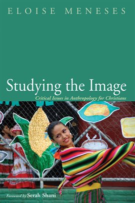 Cover image for Studying the Image