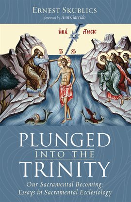 Cover image for Plunged into the Trinity