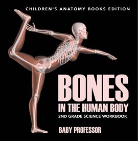 Cover image for Bones in The Human Body