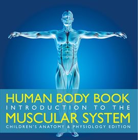 Cover image for Introduction to the Muscular System