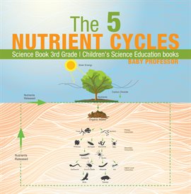 Cover image for The 5 Nutrient Cycles