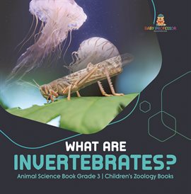Cover image for What Are Invertebrates? Animal Science Book Grade 3 Children's Zoology Books