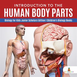 Cover image for Introduction to the Human Body Parts
