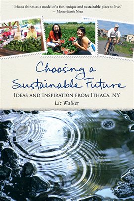 Cover image for Choosing a Sustainable Future