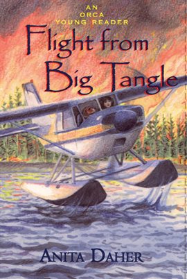 Cover image for Flight from Big Tangle